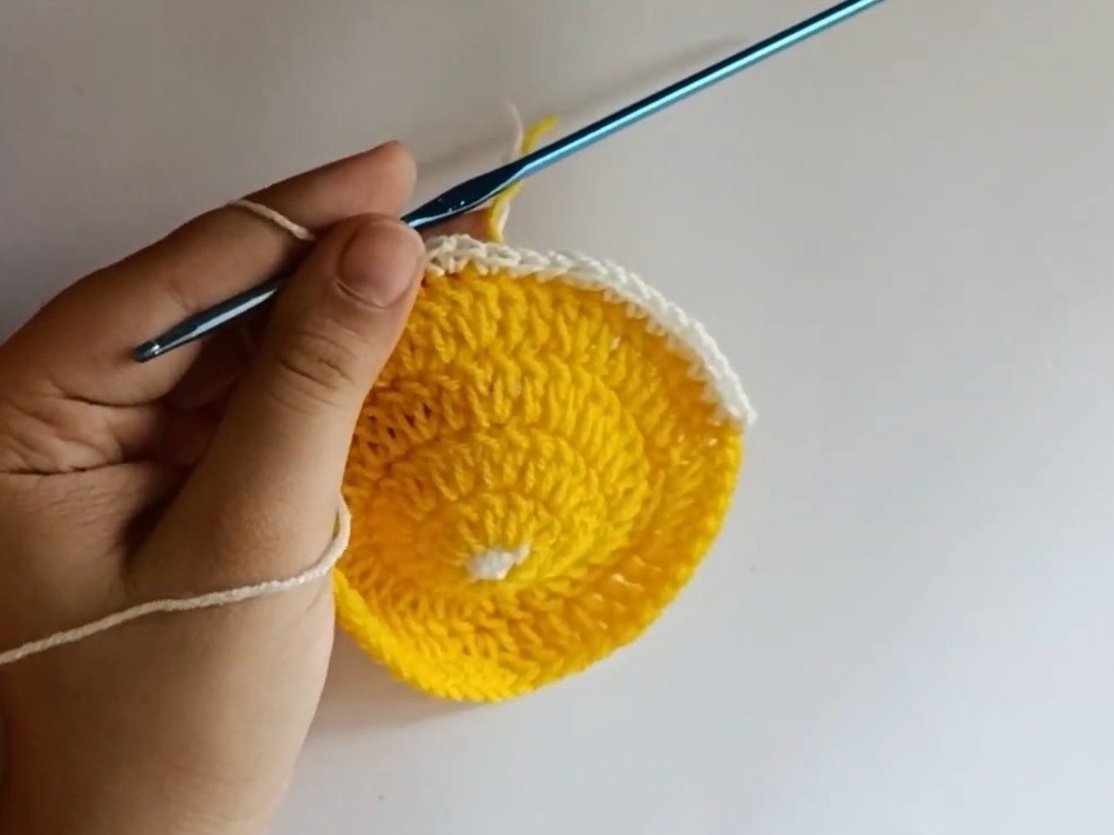 Lemon Coasters