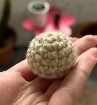 Pumpkin Shell