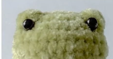 Tiny Frog