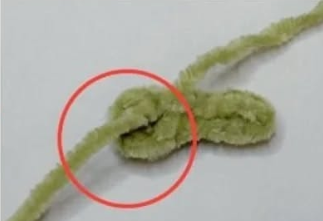 Tiny Frog