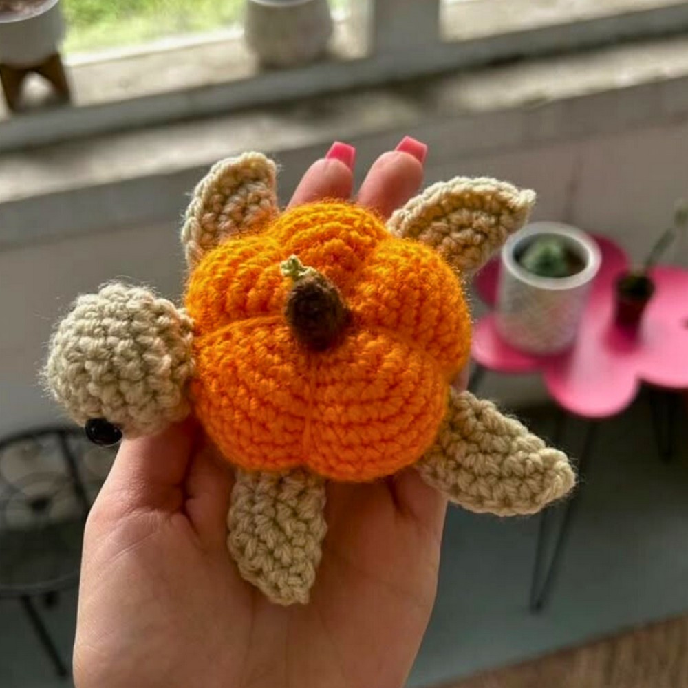 Pumpkin Shell