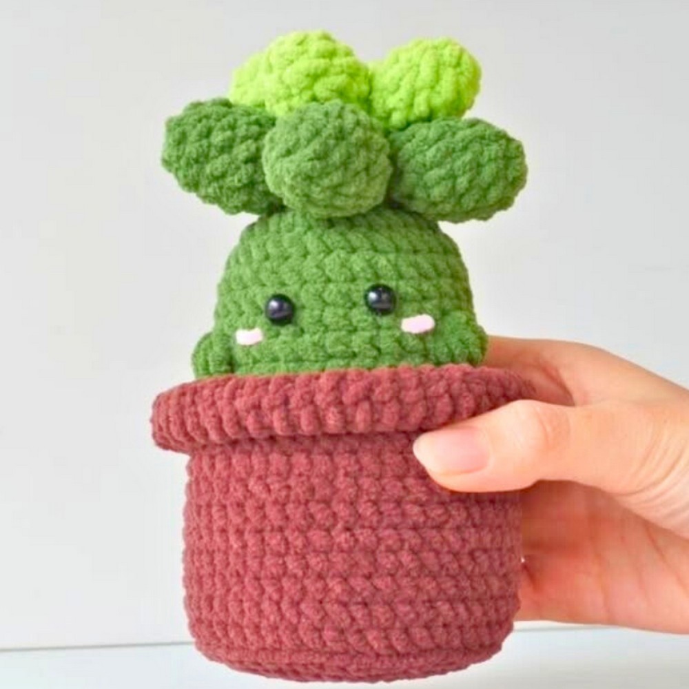 Succulent Pot