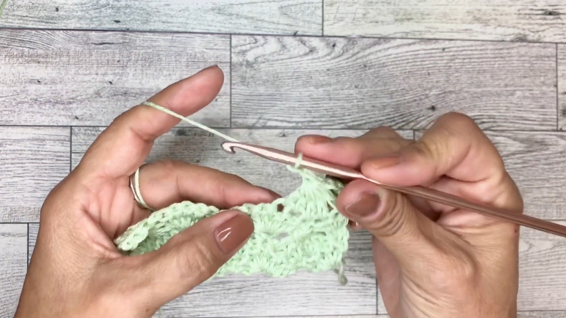 Shell Lace