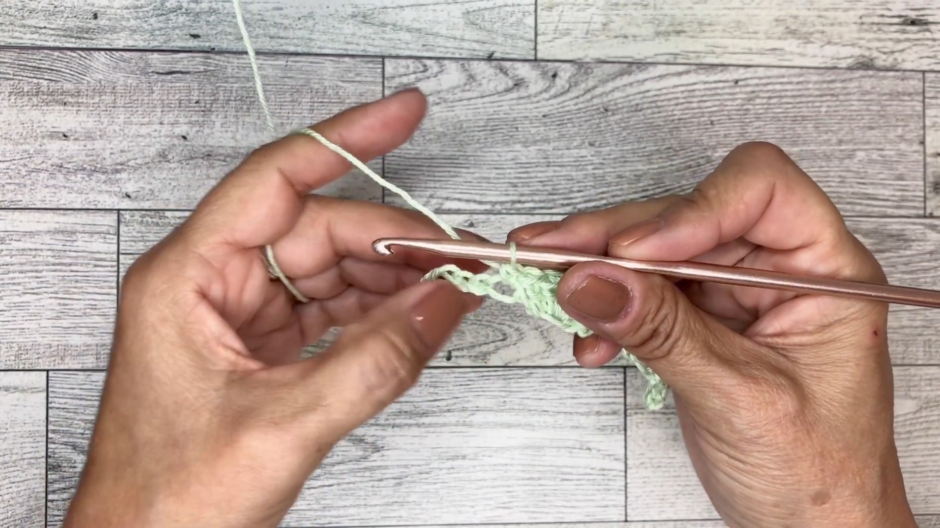 Shell Lace