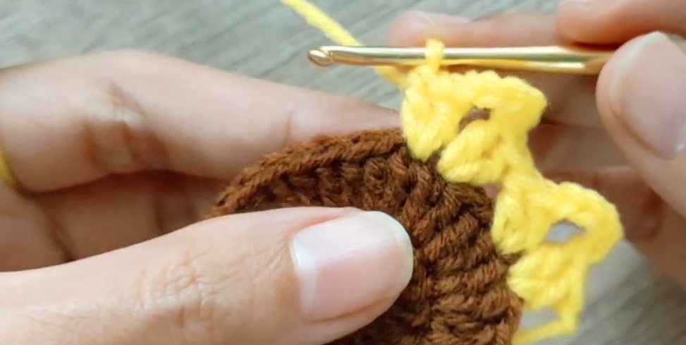 Sunflower Coaster