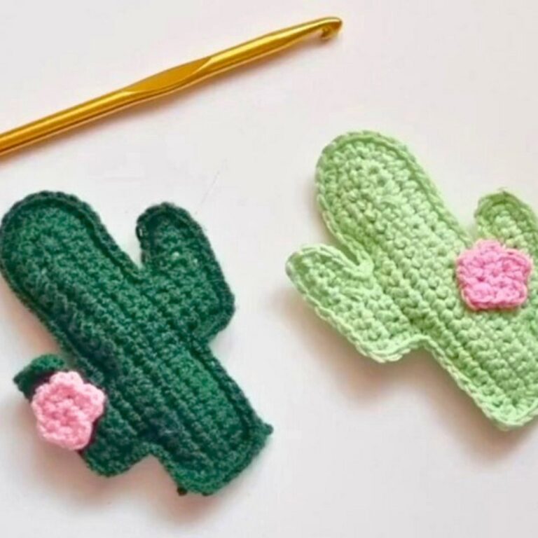 Easy Crochet Cactus Appliqué Guide for Beginners