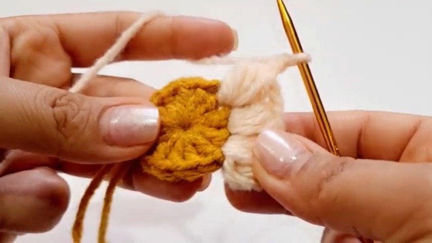 Crochet Daisy Flower Coaster Step-by-Step Beginner's Guide