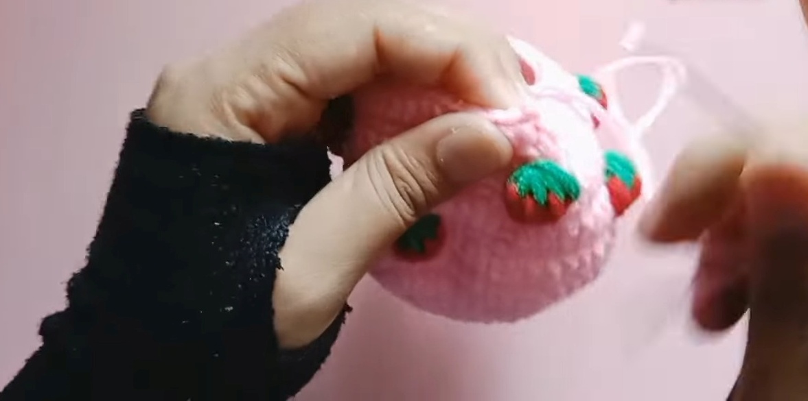 Strawberry Bag