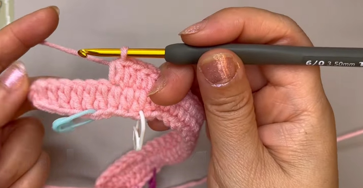 Crochet Beanie with Cat Ears Beginner-Friendly Guide