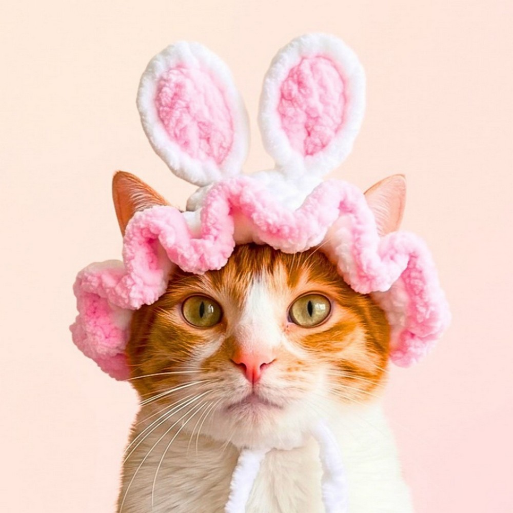 Cute Crochet Bunny Hat for Cats - Easy Ear Hole Pattern